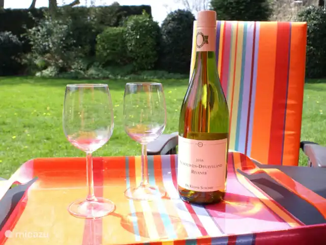 Het Schouwse Duin | Pays-Bas, Zélande, Burgh-Haamstede - maison de vacances Vin dans le jardin