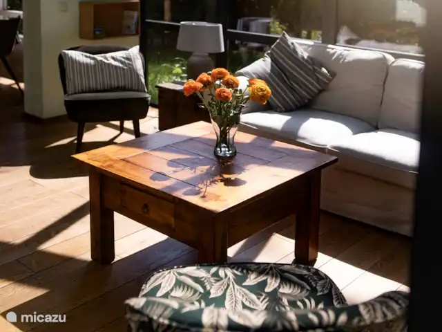 Het Schouwse Duin | Pays-Bas, Zélande, Burgh-Haamstede - maison de vacances Serre
