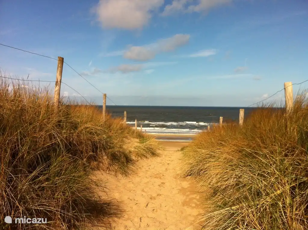Belle plage tranquille à proximité du parc de bungalows.