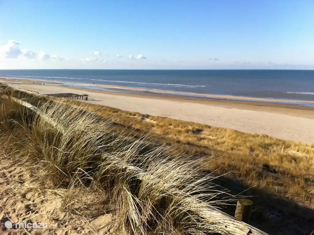 Large et longue plage de sable.