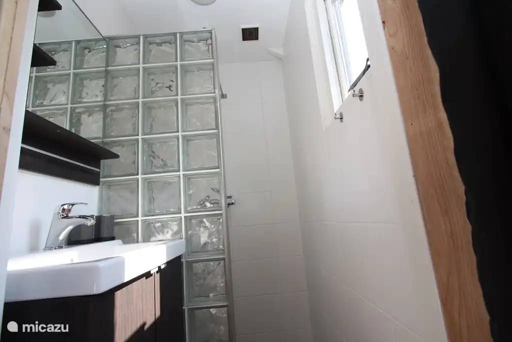 Salle de douche séparée plus lavabo.