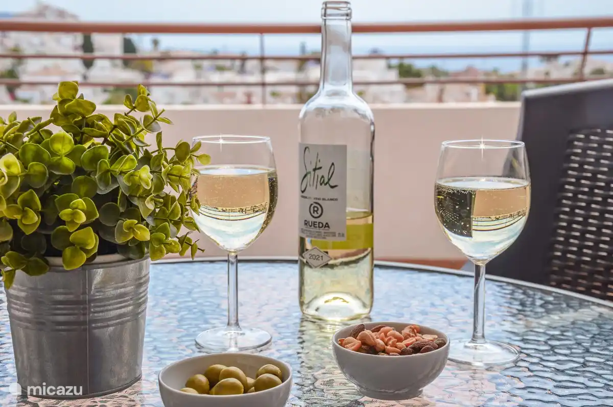 Enjoy a glass of wine on the spacious terrace!