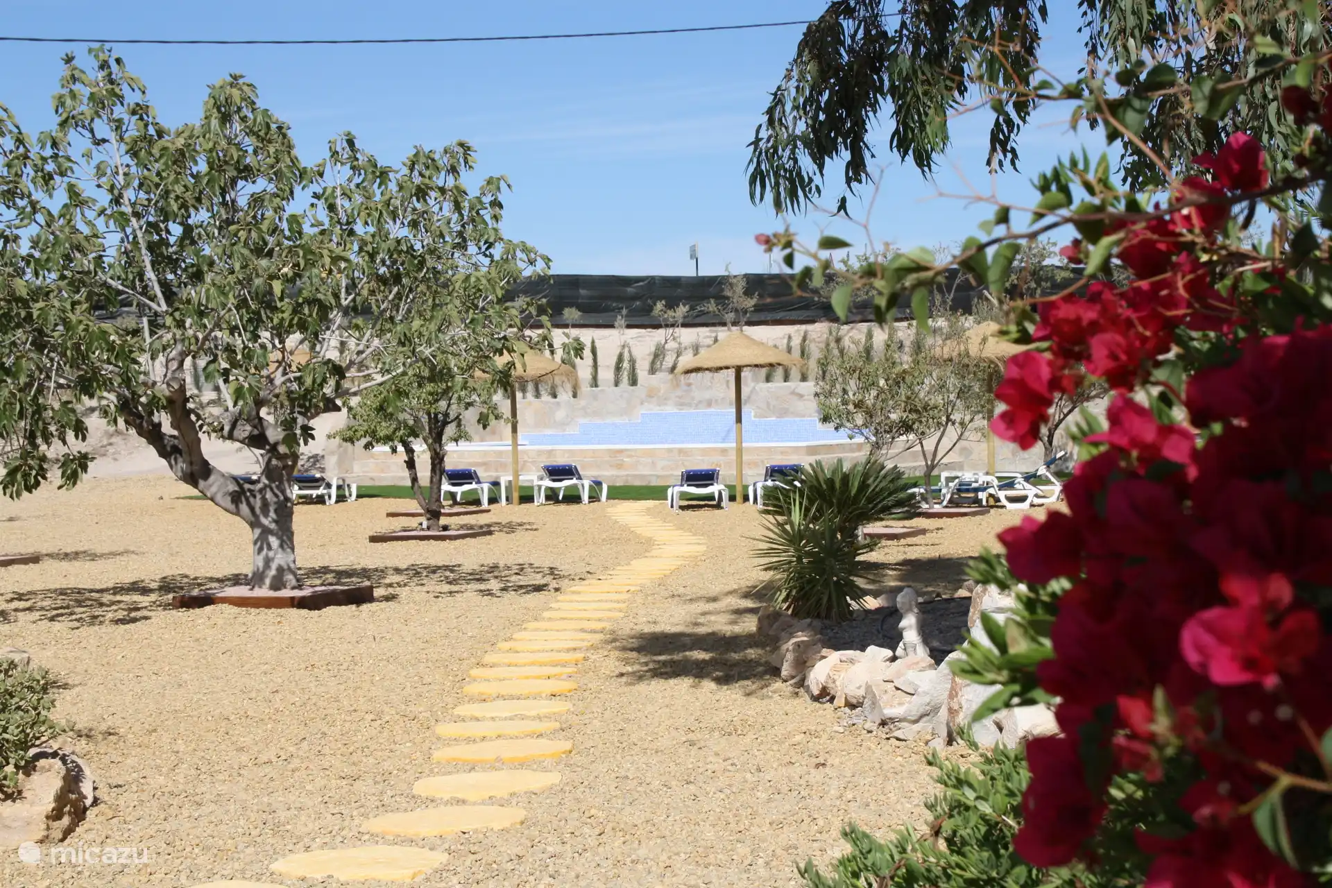 Tuin met ligbedden en zwembad