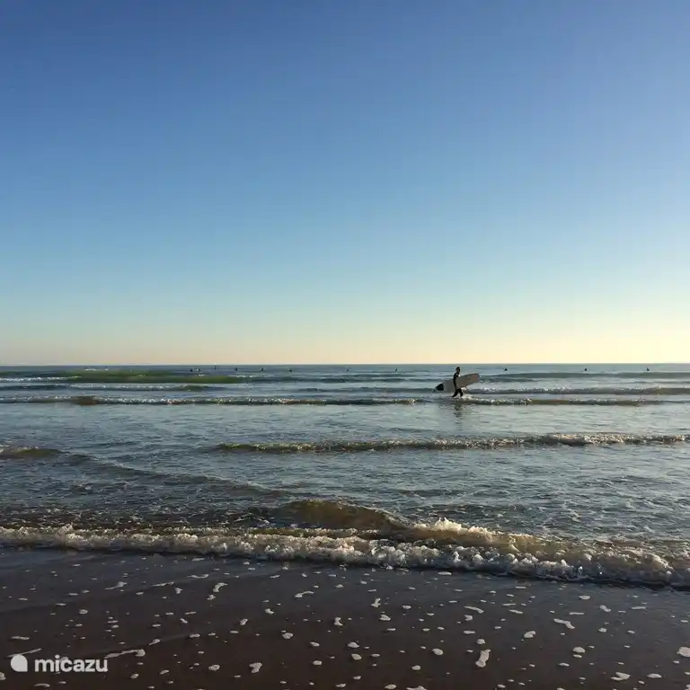Bodysurfen, het hele jaar door.