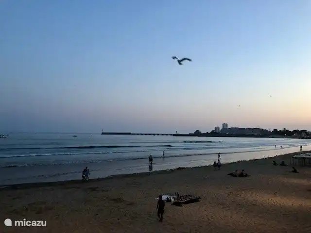 Heerlijk wandelen aan het strand, in alle jaargetijden bijzonder