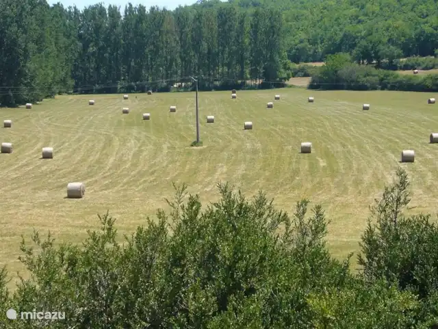 Laurence | France, Dordogne, Saint-Martial-de-Nabirat - maison de vacances Laurent