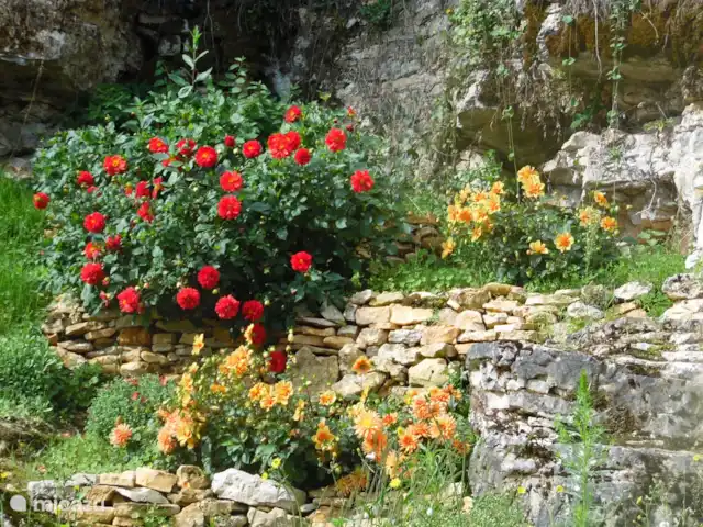 Laurence | France, Dordogne, Saint-Martial-de-Nabirat - maison de vacances fleurs