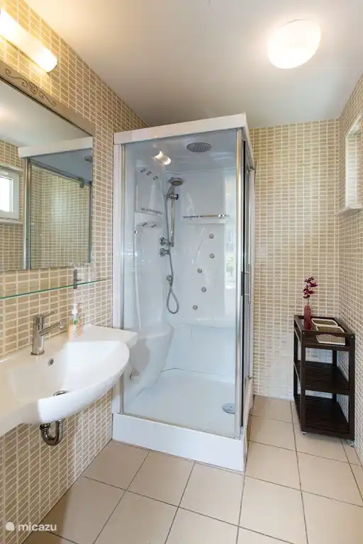 Bathroom on the ground floor