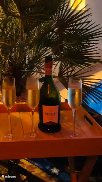 Heerlijk leven onder de Spaanse zon ! 