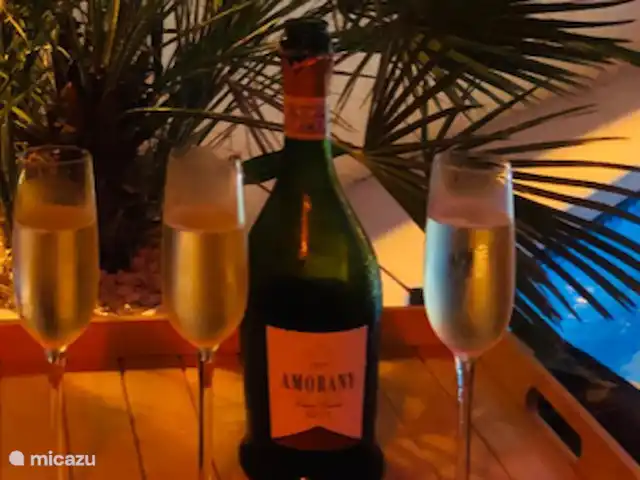 Maison Bilbao | Espagne, Costa Blanca, La Marina - maison de vacances Merveilleuse vie sous le soleil espagnol !
