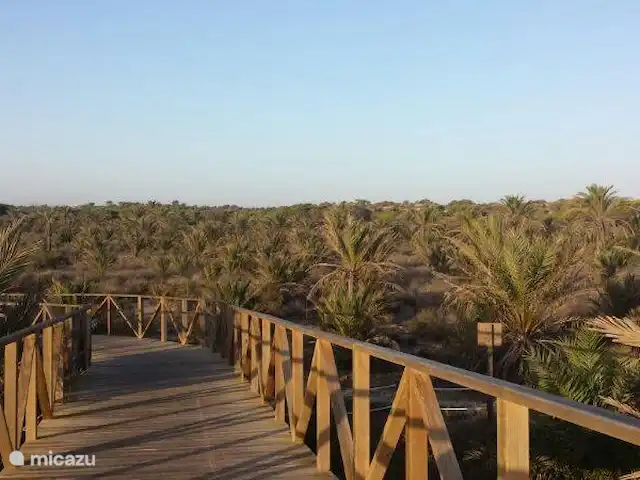 Maison Bilbao | Espagne, Costa Blanca, La Marina - maison de vacances belle nature