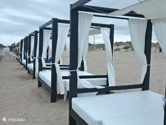 Maison Bilbao | Espagne, Costa Blanca, La Marina - maison de vacances la plage de La Marina