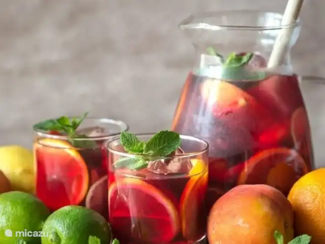 Maison Bilbao | Espagne, Costa Blanca, La Marina - maison de vacances Sangria, le soleil dans votre verre !