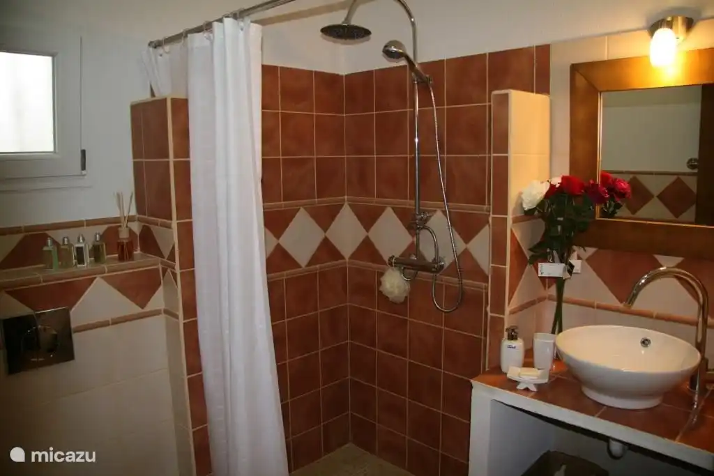 Toutes les salles de bains sont meublées de façon rustique, disposent d'une douche à effet pluie et d'une douche à main, de toilettes suspendues et d'une fenêtre basculante.