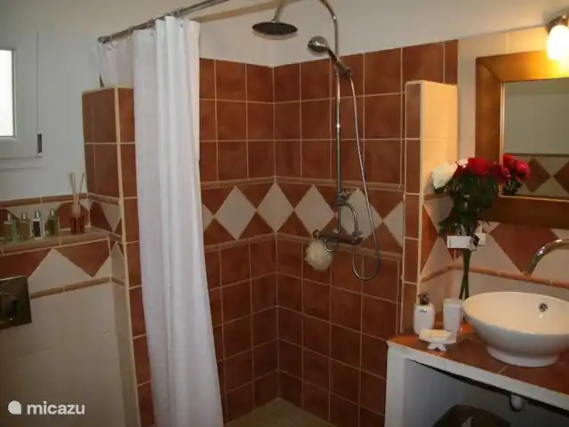 Villa Bonita Vista | Espagne, Costa Blanca, Hondón de las Nieves - villa Toutes les salles de bains sont meublées de façon rustique, disposent d'une douche à effet pluie et d'une douche à main, de toilettes suspendues et d'une fenêtre basculante.