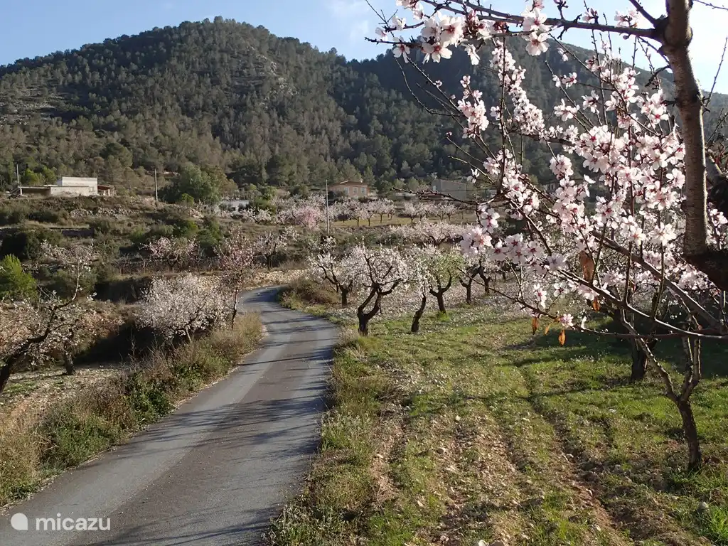 Une route de campagne tranquille vous emmène à la villa