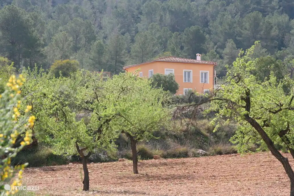 Vue de face à travers les amandiers. La Villa Bonita Vista est située sur deux terrasses, de sorte que l'avant a deux étages et est plus haut que l'arrière.