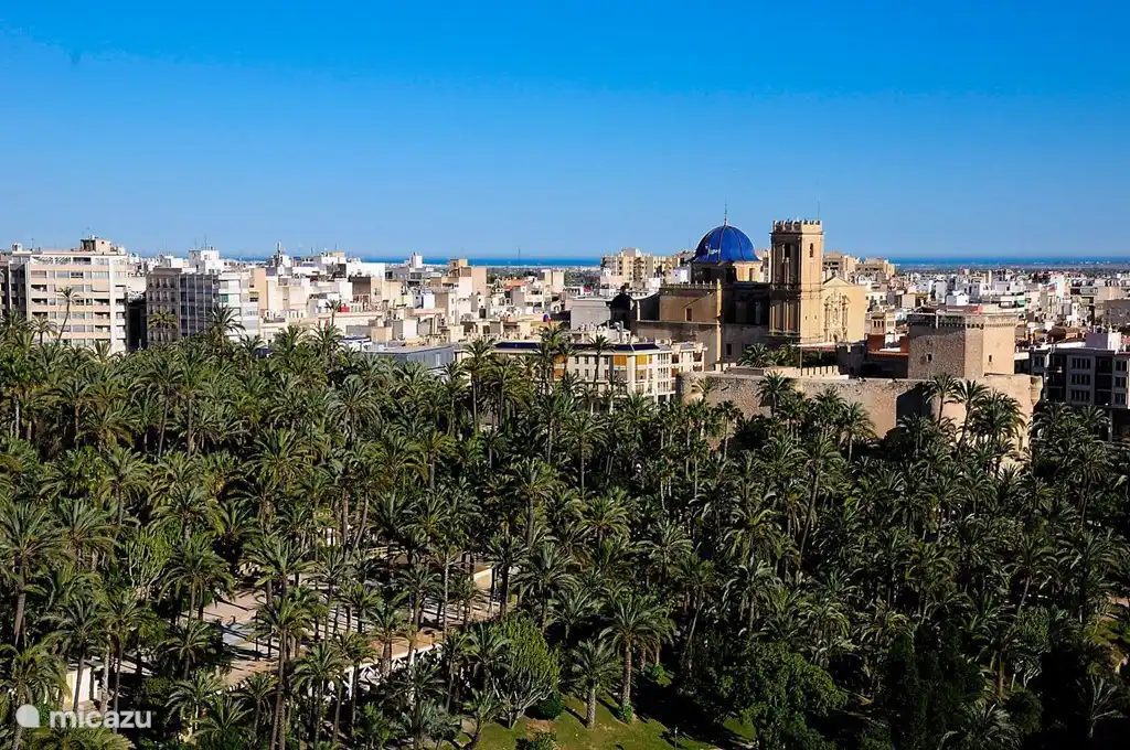 Ville d'ELCHE classée au patrimoine mondial de l'UNESCO