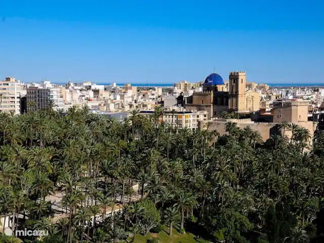Villa Bonita Vista | Espagne, Costa Blanca, Hondón de las Nieves - villa Ville d'ELCHE classée au patrimoine mondial de l'UNESCO