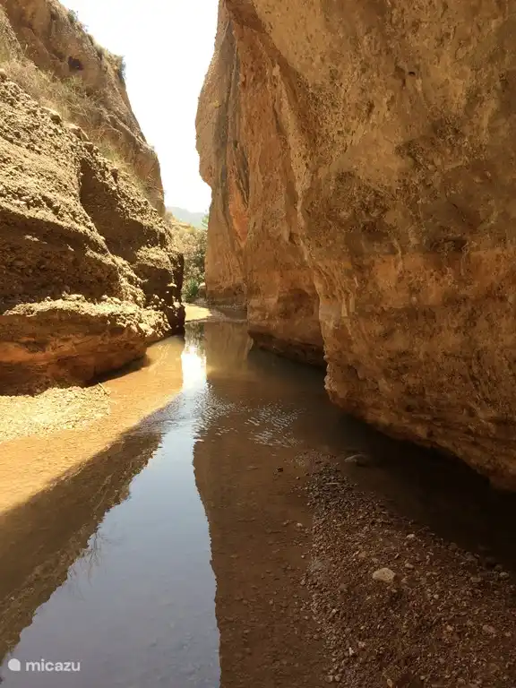 Une promenade dans la nature à proximité passe en partie par une gorge
