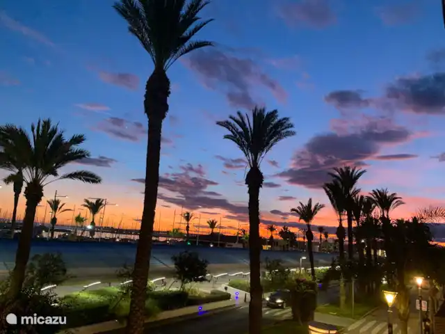 Palmeras Puerto et Plage Torrevieja | Espagne, Costa Blanca, Torrevieja - appartement Palmeras Puerto et Plage Torrevieja | Espagne, Costa Blanca, Torrevieja - appartement