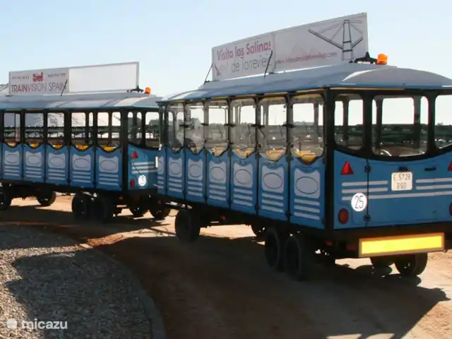 Palmeras Puerto et Plage Torrevieja | Espagne, Costa Blanca, Torrevieja - appartement le train qui vous fait visiter les lacs salés et la ville de torrevieja