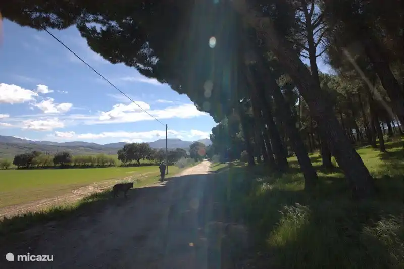 Environnement de marche parfait, directement de la maison