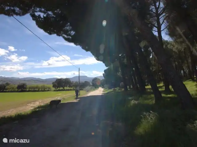 Casa Vallecillo en España, Andalucía, Ronda - casa vacacional Entorno perfecto para caminar, directamente desde casa.
