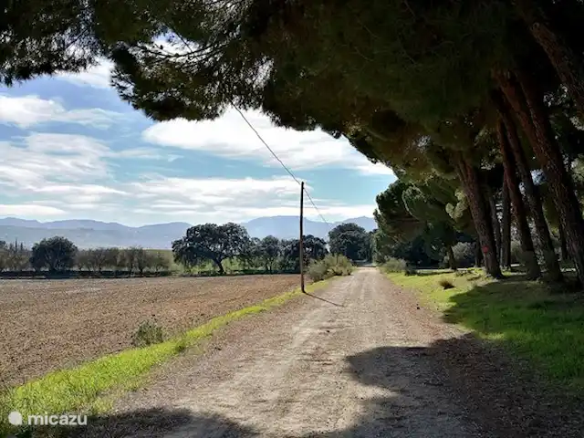 Casa Vallecillo en España, Andalucía, Ronda - casa vacacional Hermoso entorno para caminar, directamente desde casa.