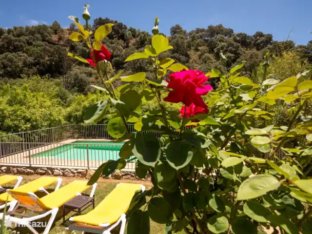 Casa Vallecillo en España, Andalucía, Ronda - casa vacacional Modesto jardín junto a la piscina
