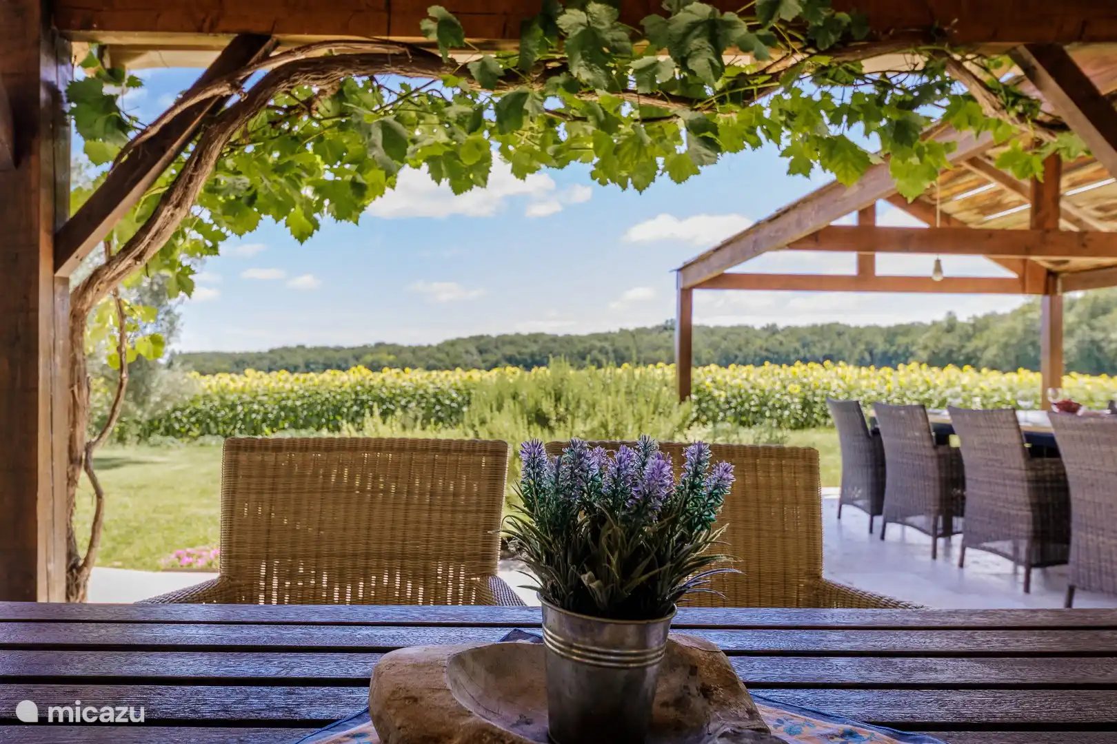 Eine Terrasse mit Aussicht