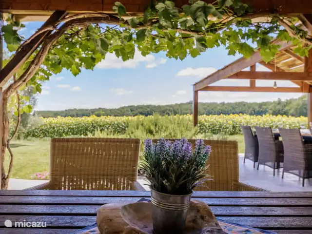 Maussac | France, Lot-et-Garonne, Marmande - maison de vacances Une terrasse avec vue