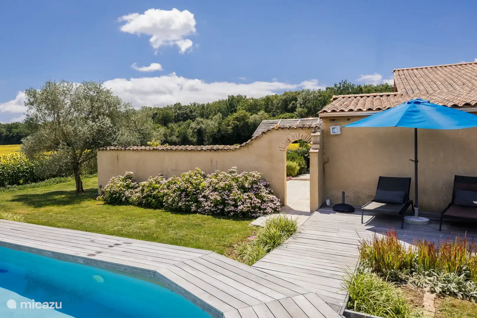 Garten und Schwimmbad