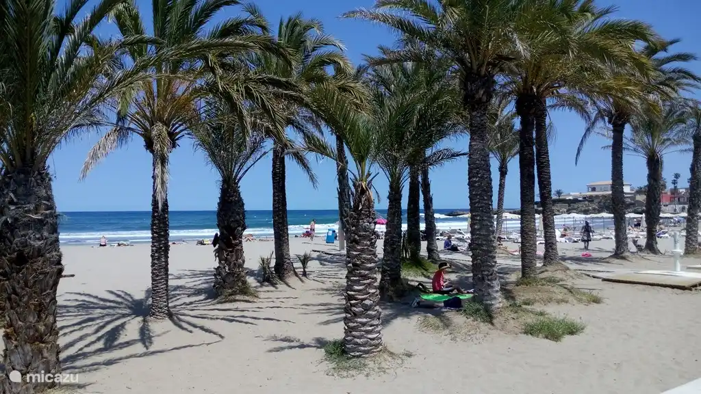 Op het Arenal is het goed toeven onder de palmen.