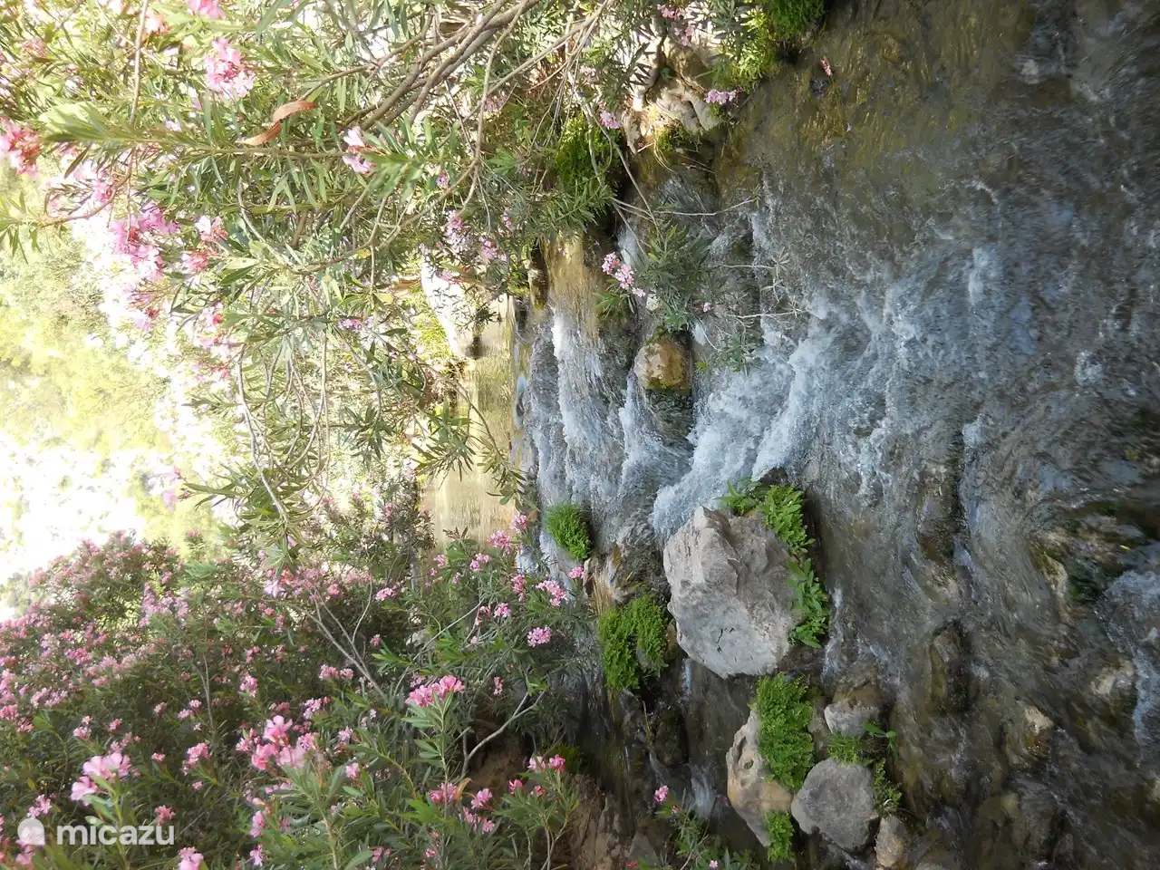 Beekje in het natuurreservaat van Fonts de l'Algar