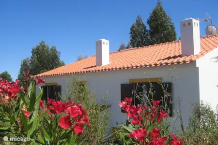 Vakantiehuis Portugal, Alentejo, Cercal do Alentejo vakantiehuis Casa Cercal Casa Cercal