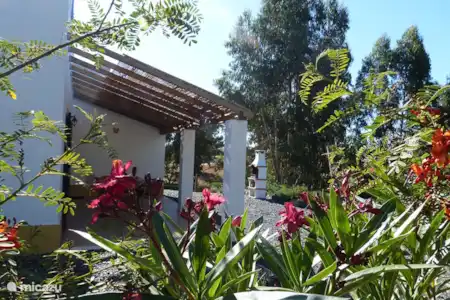 Vakantiehuis Portugal, Alentejo, Cercal do Alentejo vakantiehuis Casa Cercal Groot terras met barbecue en hangmat