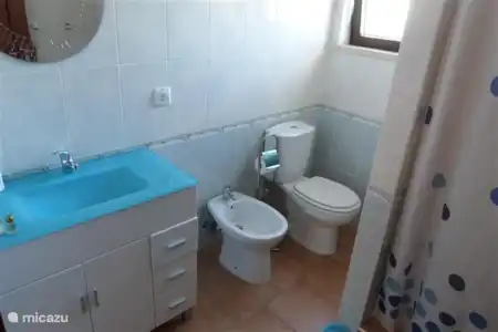 Vakantiehuis Portugal, Alentejo, Cercal do Alentejo vakantiehuis Casa Cercal Badkamer