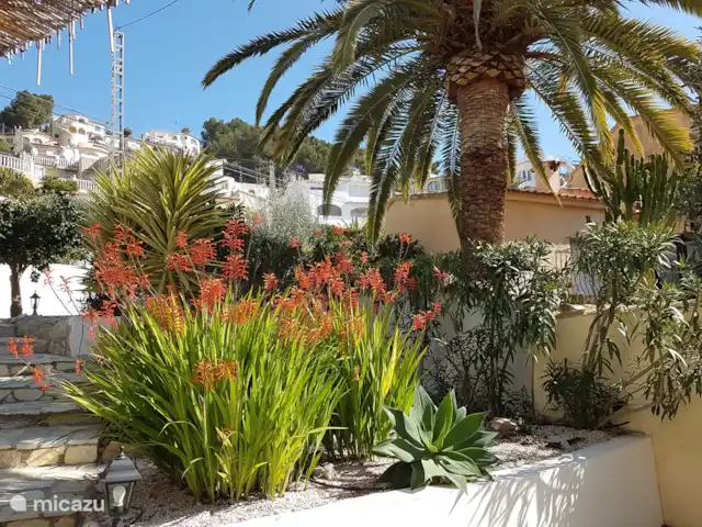 Retour au début! Villa Perla del Mar 2 à 8 p | Espagne, Costa Blanca, Benissa - villa Beau jardin