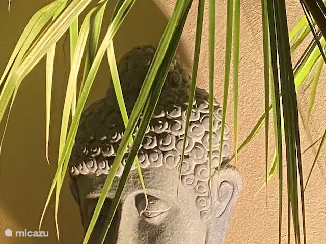 Casa Bouddha | Espagne, Costa Blanca, La Marina - maison de vacances