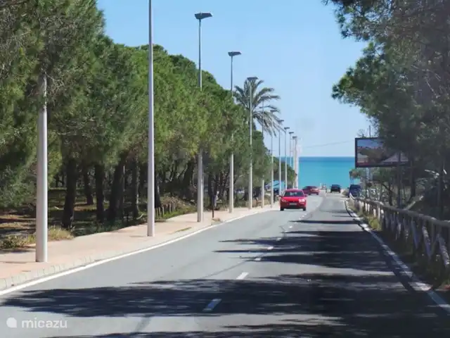 Casa Bouddha | Espagne, Costa Blanca, La Marina - maison de vacances chemin de la plage entouré de bois et de dunes