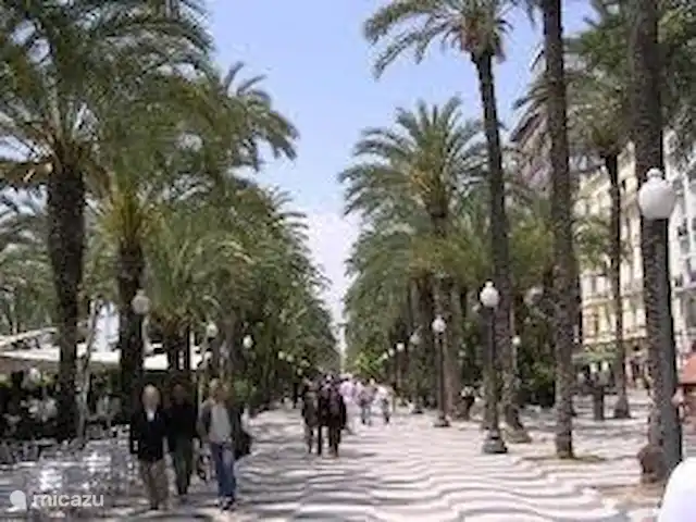 Casa Bouddha | Espagne, Costa Blanca, La Marina - maison de vacances Ville d'Alicante