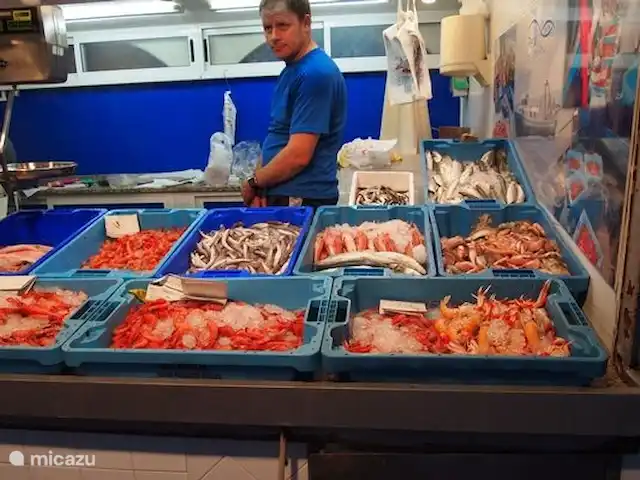 Casa Bouddha | Espagne, Costa Blanca, La Marina - maison de vacances marché aux poissons frais tous les jours