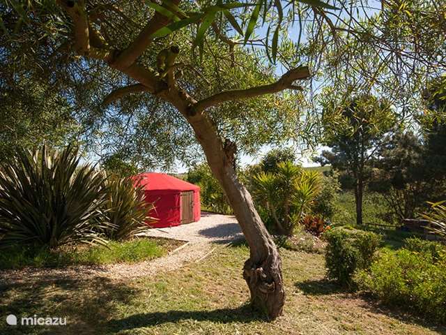 Golfsurf, Portugal, Costa de Prata, Alcobaça, camping con glamour/yurta/tienda safari la yurta