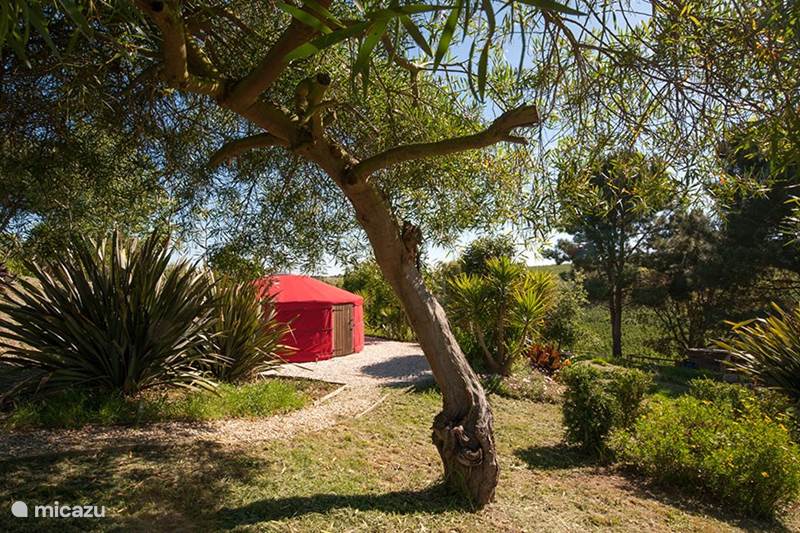 Vakantiehuis Portugal, Costa de Prata, Alcobaça Glamping / Safaritent / Yurt De Yurt