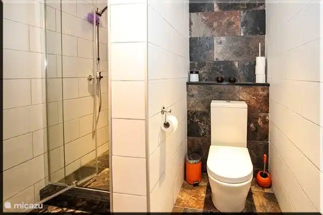 bathroom in the apartment downstairs