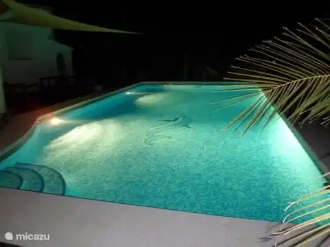 pool by night