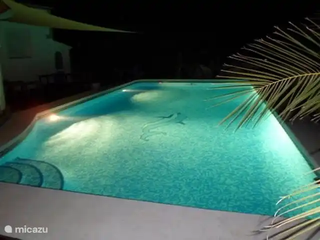 Casa Gusta huren in Spanje, Costa Blanca, Jalón - villa zwembad by night
