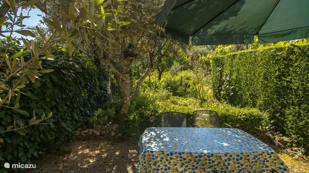 The garden of Casinha Oliveira