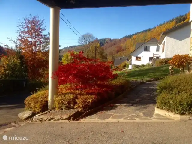 Blick aus dem Wohnzimmer